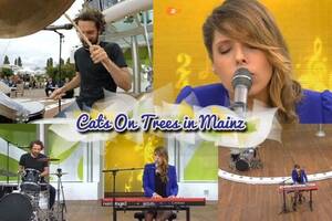 heidanism sexy nude beach - Cats On Trees Ã  Mainz pour ZDF