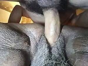 black old lady vagina - Free Old Black Granny Porn Videos (828) - Tubesafari.com