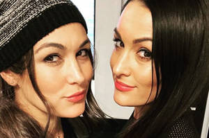Chip Away Porn - WWE news: Diva Nikki Bella's twin sister Brie 'wants to kill John Cena'  following split | Daily Star