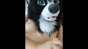 Collie Porn - Collie Porn Videos | Pornhub.com