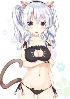 Cat Lingerie Anime Porn - Catgirl, Anime Cat, Kitty Cats, Neko, Underwear, Bra, Kitten, Lingerie,  Kittens