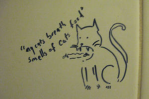 Bathroom Graffiti Porn - 