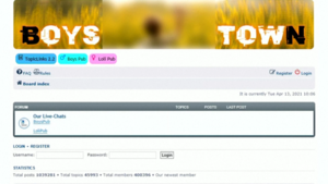 Just Toddler Porn Deep Web - Boystown bust: German prosecutors say child porn platform had 400,000  members | CTV News