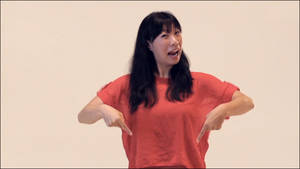 Angry Asian Porn - Asian Vaginas End Racism!