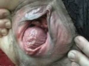 Monster Vagina Porn - Monster Vagina Videos - Free Porn Videos