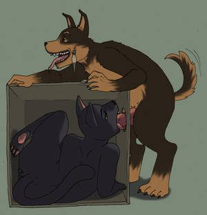 Furry Porn Gloryhole - SchrÃ¶dingers Glory Hole 1 by DontFapGirl