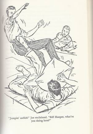 Hard Boys Porn - What's your EGI? (Earliest Gay Influence) or â€œThe Hardy Boys Made Me Gayâ€ |  Rich Merritt