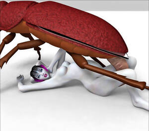 3d insect toon porn xxx - monster porn 3d of chick with horns and a big insect