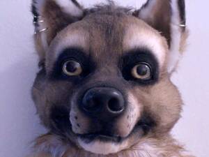 Disturbing Furry Porn - It's not about sex, it's about identity: why furries are unique among fan  cultures | Fancy dress and costume | The Guardian