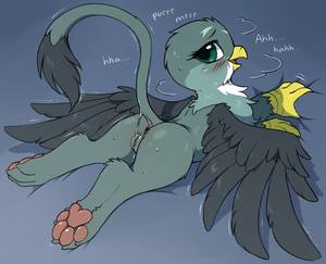 Mlp Pussy Butt - e621 2016 anus avian beak bedding blue_background blush butt english_text  feathered_wings feathers feet_back female feral friendship_is_magic