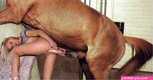 Donkey Fucking Girl Porn - Donkey Fucking Porn | Sex Pictures Pass