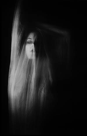 beautiful black and white porn - Erotic photography, fashion and porn.