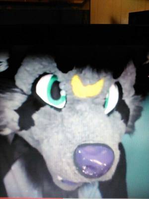 Bolt Furry Porn - Gallery