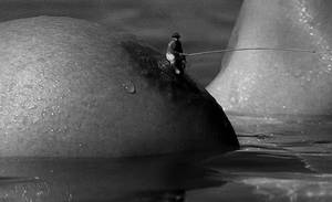 anal photography - Noir et blanc