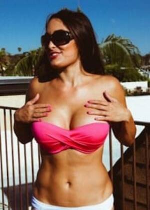 Brie Wwe Porn - Bella vs. Bella | The Worst of WWE