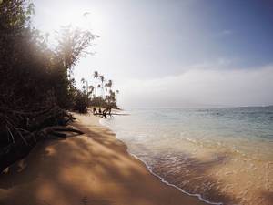 Kahului And Kihei Hawaii - Kanaha Beach Park, Maui Â· Vacation VillasMauiHawaiiPornHawaiian Islands