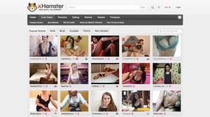 live sex cams hamster - xHamster cams