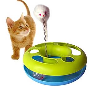 Cat And Mouse Girls Porn - Gpet Cat Toy Happy Kitten Circle with Ball and Catch the Mouse Motion to  Exercise and