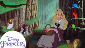 Disney Sleeping Beauty Sex Porn - Aurora's Forest Friends | Sleeping Beauty | Disney Princess - YouTube