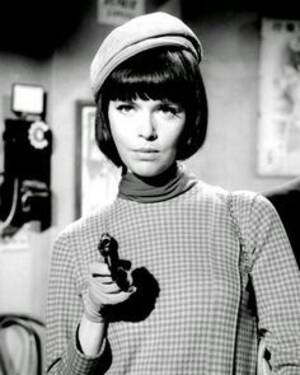 Barbara Feldon Porn - barbara feldman get smart - | Actresses, Old tv shows, Agent 99