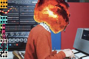 I Mean Actual Bears Bear Porn - Gore, Porn, and Unspeakable Acts on Dead Bears: My Awful Life as the  Internet's Janitor