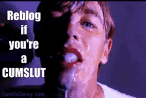 Bukkake Cum Meme Porn - CUM SLUT // #cumslut #facial #bukkake #meme #reblog #retweet - Porn With  Text