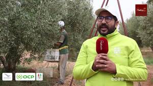 amateur pornparks nudism - ØªØ§ÙˆØ±ÙŠØ±Øª â€¦ Ø·Ø§Ù‚Ù… Ù…Ø¨Ø§Ø¯Ø±Ø© Ø§Ù„Ù…Ø«Ù…Ø± ÙŠÙ‚Ù Ø¹Ù„Ù‰ Ù†Ø¬Ø§Ø­ Ø¹Ù…Ù„ÙŠØ© Ø¬Ù†ÙŠ Ø§Ù„Ø²ÙŠØªÙˆÙ† Ùˆ ÙŠØ«Ù…Ù† Ø§Ù„Ù…Ø³Ø§Ø±  Ø§Ù„ØªÙ‚Ù†ÙŠ Ø§Ù„Ø°ÙŠ ØªÙ… Ø§Ù„Ø¹Ù…Ù„ Ø¨Ù‡ â€“ Ù…ÙˆÙ‚Ø¹ Ù…Ø¹ Ø§Ù„ÙÙ„Ø§Ø­