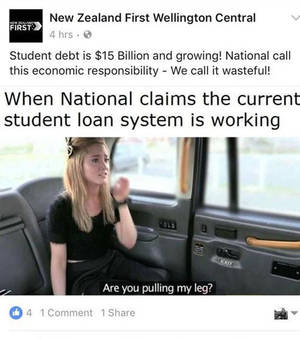Debt Caption Porn - Fake Taxi porn post by NZ First