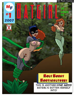 Batgirl Lesbian Futanari Porn Comics - Batgirl Interrupted comic porn | HD Porn Comics
