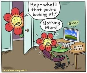 Flower Porn - Flower Porn. [FIXED] : r/funny