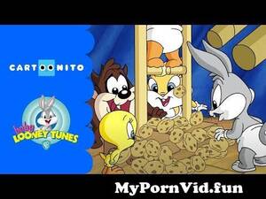 Looney Tunes Granny - Baby Looney Tunes | Granny's Cookies | Cartoonito UK from toon baby Watch  Video - MyPornVid.fun