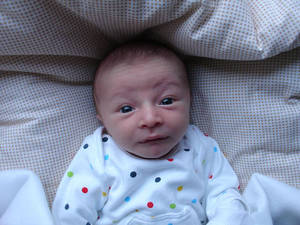 Babies Having Sex - So . . . what do I do when I canÂ´t sleep? What do you do? Well, I was  intending to write on this topic, but then I got sidetracked for a ...