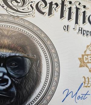 Funny Porn Certificates - Fun Porn Star Certificate | Porn Star Certificates | Porn Star Gifts