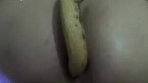 close up anal action - Close-up anal action with an actual fucking snake