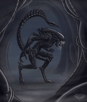 Anime Xenomorph Porn - horny xenomorph. XenomorphAliensPornFatherPai