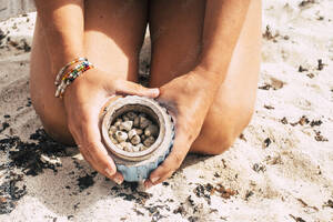 close up beach nudes - beautiful naked closeup image of woman body at the beach showing a box full  of little shells. vacation and summer travel activity concept. nudism and  lifestyle concept for people Stock Photo |