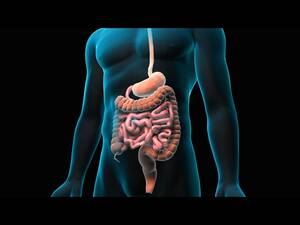 Forced Enema Porn - Barium Enema - YouTube