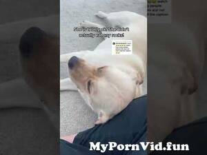 Gullible Porn Captions - thank you to the 1% who read the caption. #gullible #satiretiktok from gullible  caption Watch Video - MyPornVid.fun