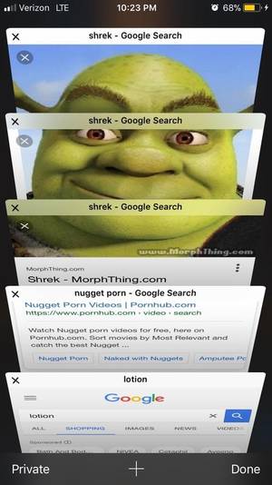 Kingdom Hearts Porn Memes - l Verizon LTE 10:23 PM shrek Google Search shrek Google Search shrek Google  Search