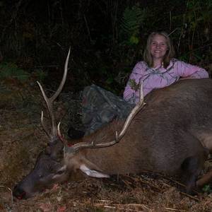 Elk Hunting Porn - Kallee 2nd Bull Elk