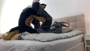 German Shepherd Anthro Porn - Hot German Shepherd Fucks Cute Gray Submissive Bunny (Murrsuit Porn) -  Pornhub.com