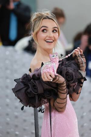 Anna Silk Celebrity Porn - Met Gala 2023 Red Carpet Photos: Best and Worst Dressed Celebrities