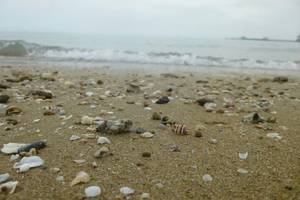 Iran Shore Porn - #thebesttravelever #travel #relaxation #Iran #persianGulf #bandarAbbas  #Qeshm #Gheshm