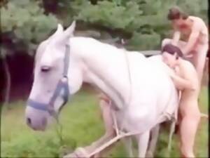 mare orgy - Mare and goat orgy - Bestialitylovers - Watch Free Porn Video