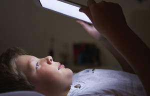 Minecraft Sex Porn - The Truth About the Minecraft Sex Mod