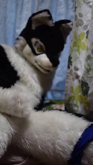 Japanese Furry Porn - Japanese Furry 04 - ThisVid.com
