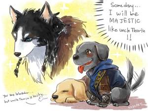 Lord Of The Rings Dwarf Porn - dog the hobbit corgi labrador retriever bilbo baggins fili kili siberian  husky golden retriever Thorin kadeart wannabe majestic Kili durins Dwarf  dog of ...