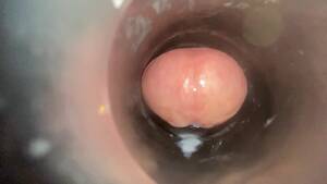 internal cam porn - Fleshlight Creampie Internal Cam #2 Porn Video - Rexxx