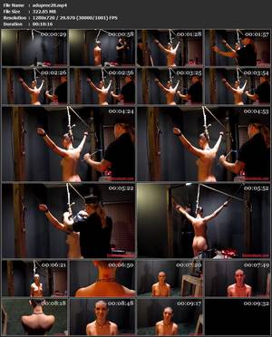 Human Branding Porn - Download from Depfile