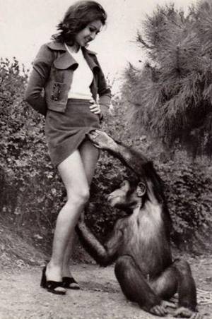 Girl Fucks Chimpanzee - It's commonly assumed that human males are more easily aroused, more  promiscuous and more prepared to fuck just about anything, than human  females.